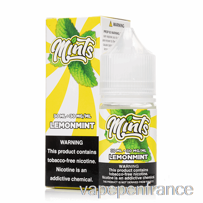 Sels De Menthe Citronnée - Menthes Vape Co - 30 Ml 50 Mg Stylo Vape